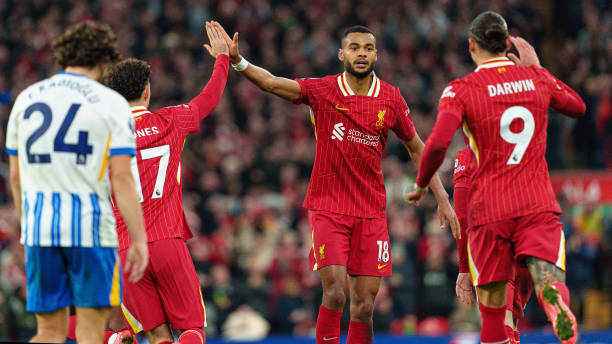 体教融合的 体教融合的