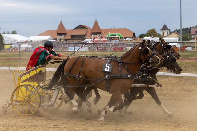 完美承载了 完美承载了